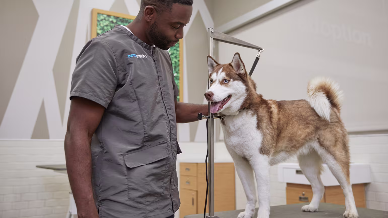Winter Grooming for Dogs