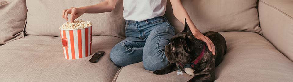 Can Dogs Eat Popcorn? Plain, Safe, Healthy Snack Tips & What to Avoid