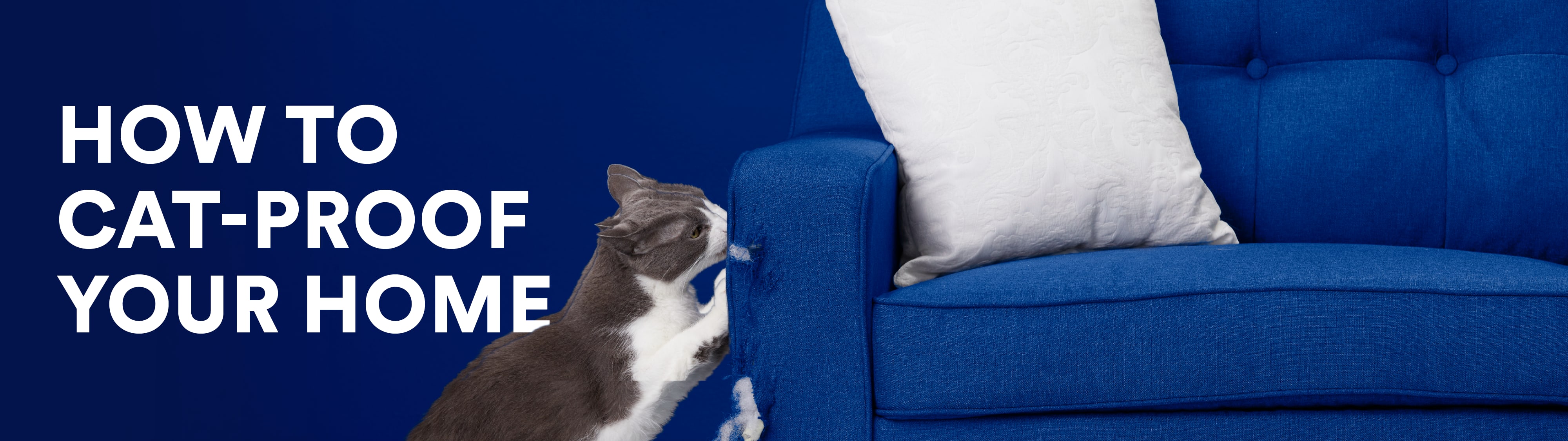 Cat-Proof Your Home: Crucial Safety Tips for Your New Feline Friend