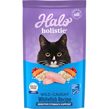 Best tasting dry cat food for finicky eaters hot sale
