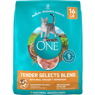 Dry cat food for picky cats outlet