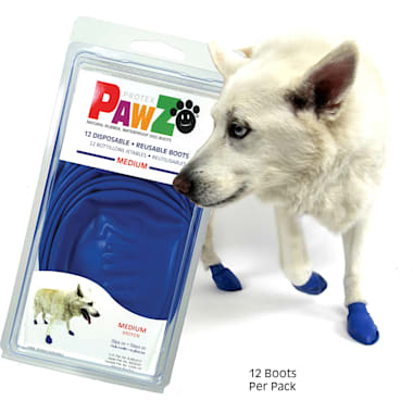 Snow boots for dogs petco store