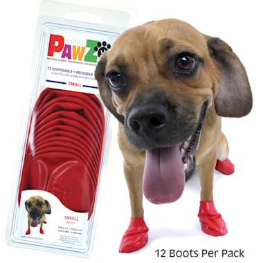 Medical pet boot shop