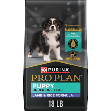 Best dog food for sheepadoodle cheap