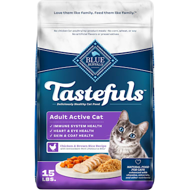 Best cat food for immune system outlet