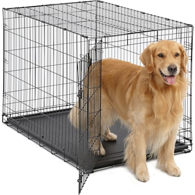 Large dog crate 42 inch cheap