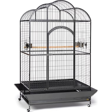 Big bird cages near me top