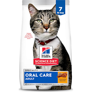Food for old cats with no teeth sale