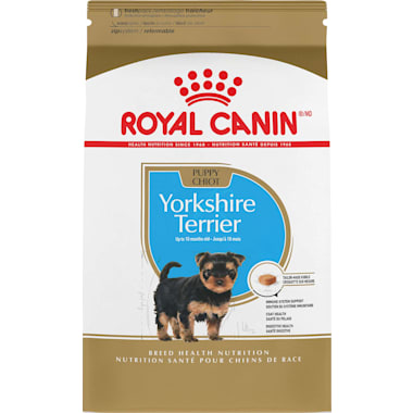 Best food for a morkie shop