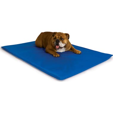 Chew proof dog bed petco sales