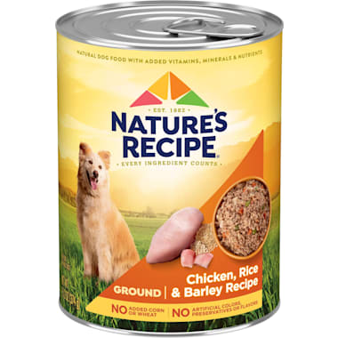 Bland dog food for sensitive stomach shop
