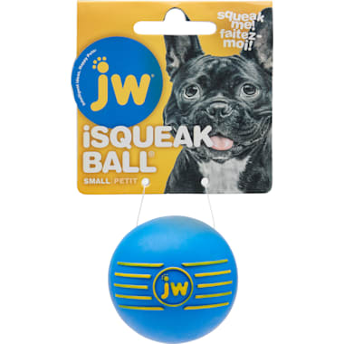 Jw dog toys ball online