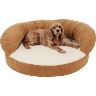 Best Orthopedic Dog Beds of 2024 Petco