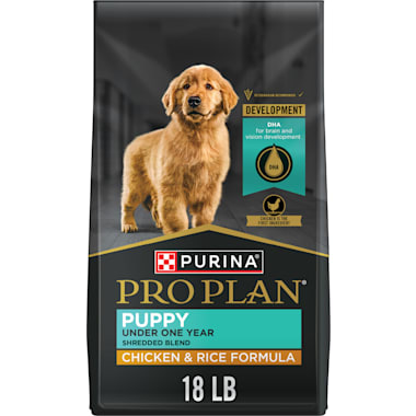 American pitbull food store