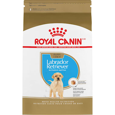 Labradoodle puppy food clearance