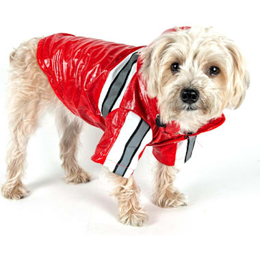 Dog raincoat petco best sale