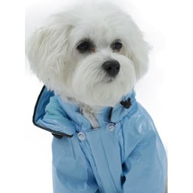 Dog Raincoat Petco