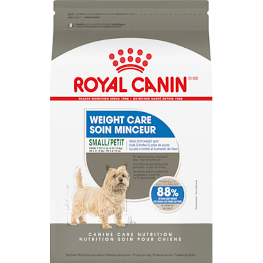 Best dry dog food for corgis new arrivals