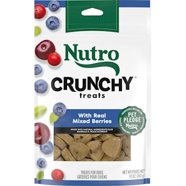 Nutro Mini Bites Dog Treats Petco