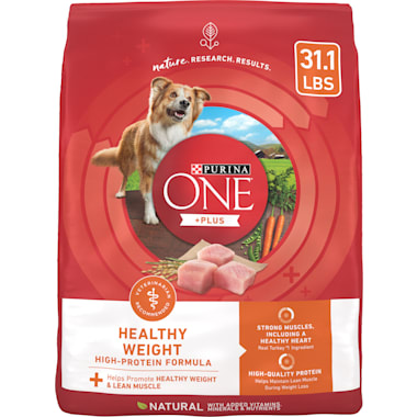 Purina one dog food petco sales