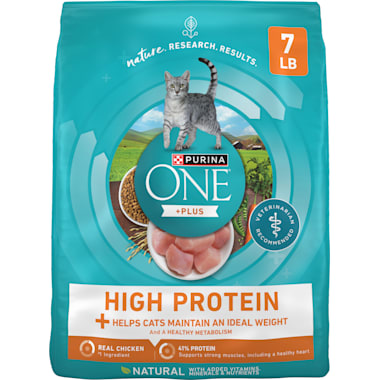 Best cat food for diabetic cats store