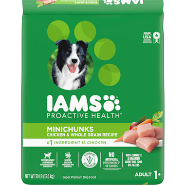 Best soft dry dog food online