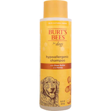 Best shampoo for shih tzu with allergies shop