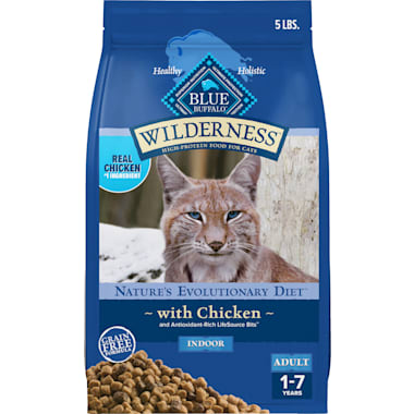 High calorie cat food for weight gain shop