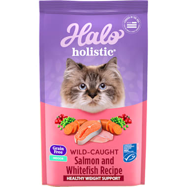 Best dry food for diabetic cats top