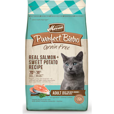 Dry Cat Food For Indoor Outdoor Cats Petco