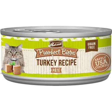 Cheap cat food new arrivals