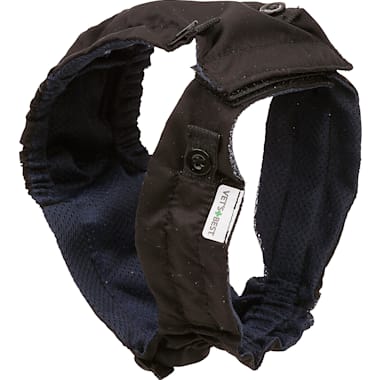 Washable Dog Diaper Petco