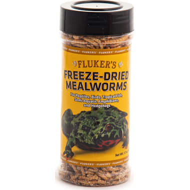 Live mealworms petco shop