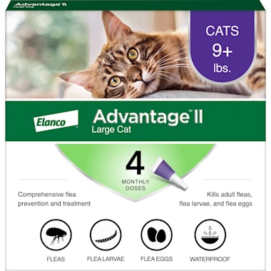 Petco ringworm treatment for dogs clearance