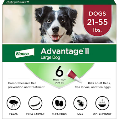 Petco ringworm treatment for dogs sale