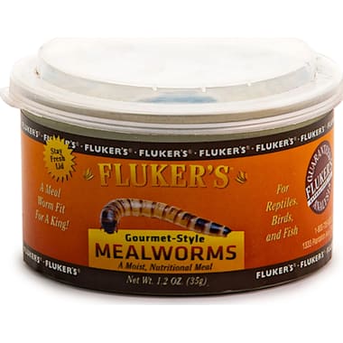 Live Mealworms Petco