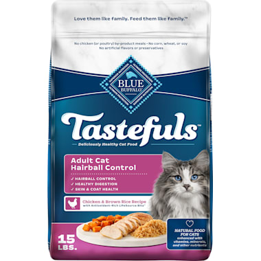 Best Cat Food For Indoor Cats of 2024 Petco