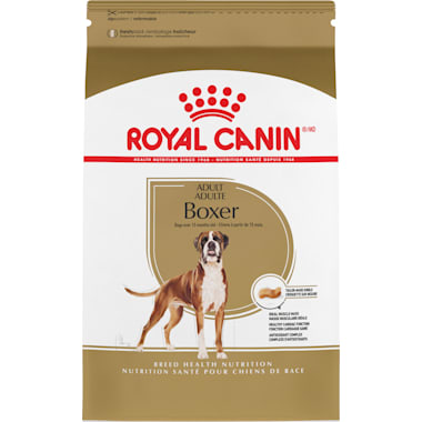 Boxer dog food allergies clearance