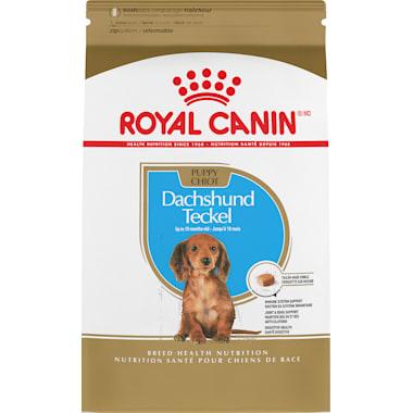 Best dog food for terrier mix clearance