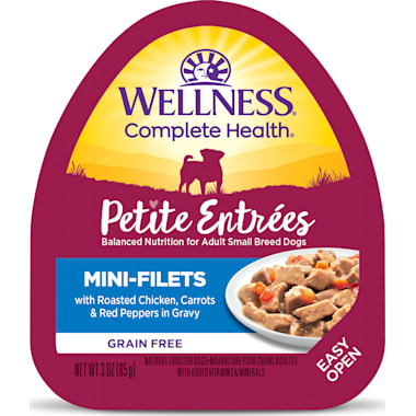 Best wet food for diabetic dogs shop