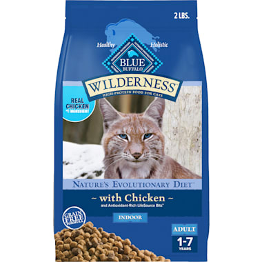 Best dry cat food for senior cats with bad teeth on sale