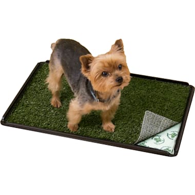 Puppy pad holder petco 2025