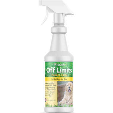 Dog repellent spray for couch 2025
