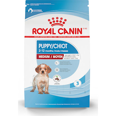 Cocker spaniel puppy food 2025