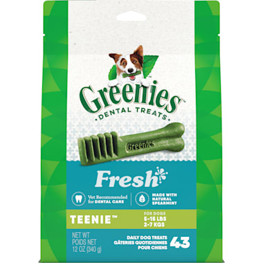 Best Dog Toothpaste of 2024 Petco