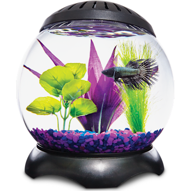 150 gallon fish tank petco hot sale