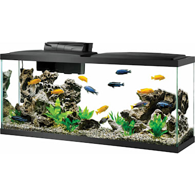 Best Aquarium Kits of 2024 Petco