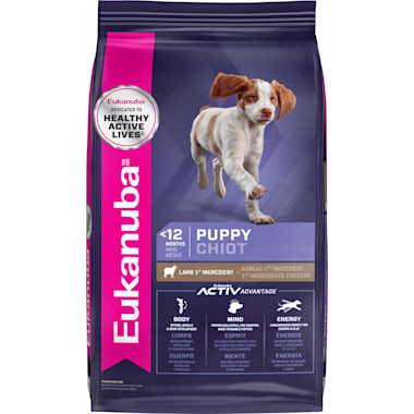 Best dry dog food for pregnant dogs hot sale