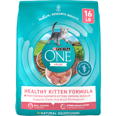 Soft Dry Food For Cats With Bad Teeth Petco
