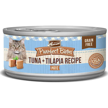 Wet cat food for picky cats top